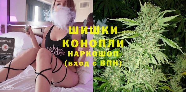 дурь Новодвинск
