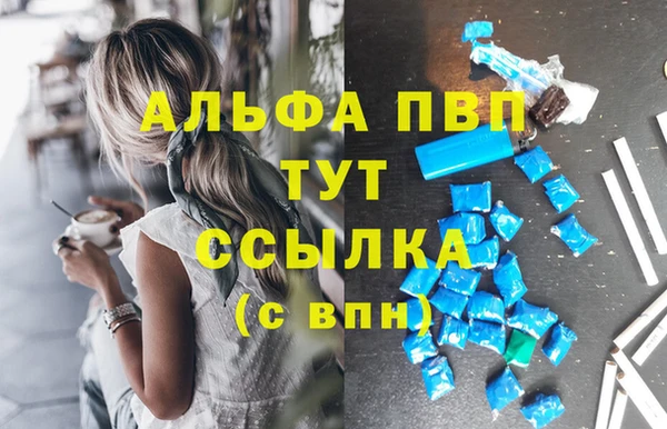 скорость Новозыбков