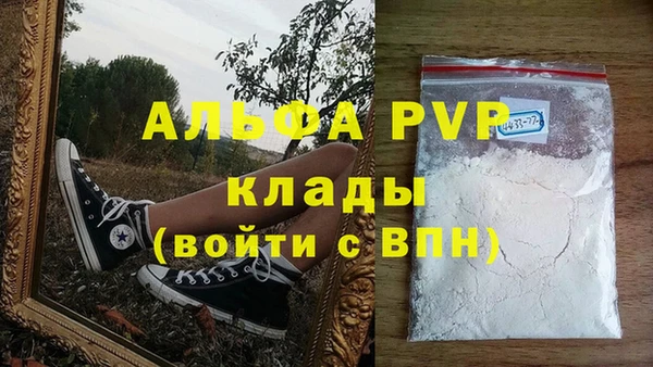 скорость Новозыбков