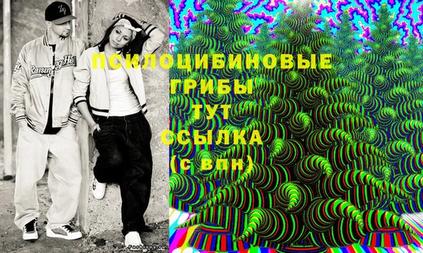 дурь Новодвинск