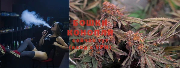 дурь Новодвинск